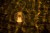 cf131e590edb72c8defb685589b0e470